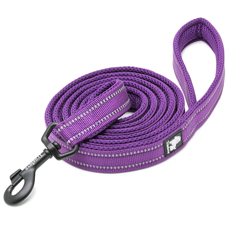 Winhyepet Luxury Padded Handle Reflective Nylon Dog Leash