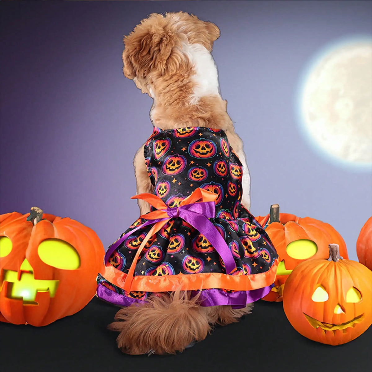 Halloween Dog Dress With Pumpkin And Skull Print Bowknot
