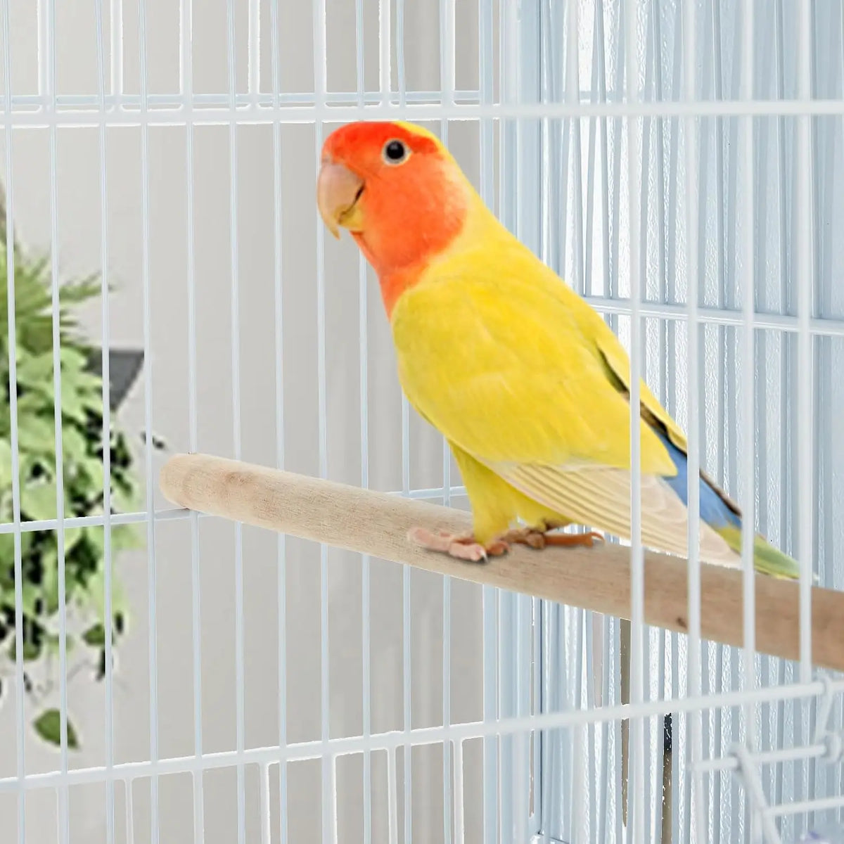 Stackable Flight Birdcage With Storage Shelf And Locking Casters
