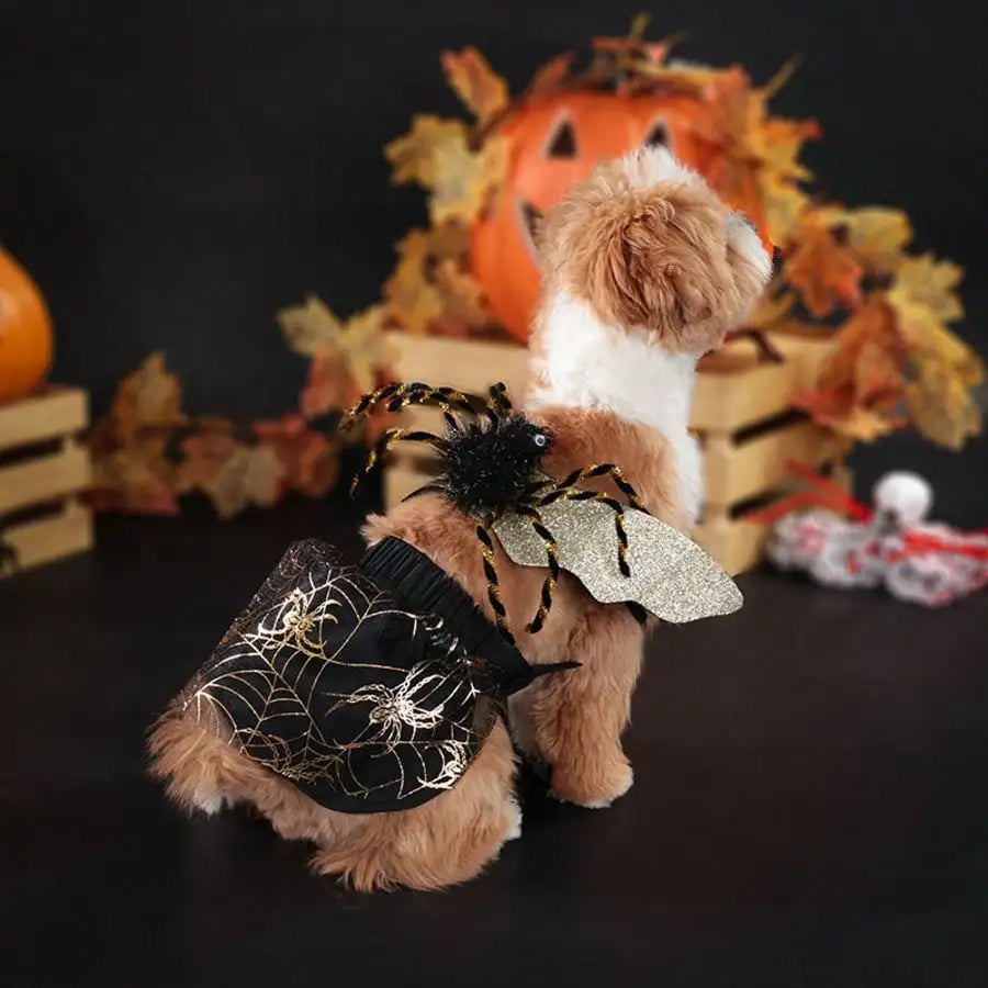 Adjustable Halloween Spider Costume for Dogs Funny Cosplay Party Outfit