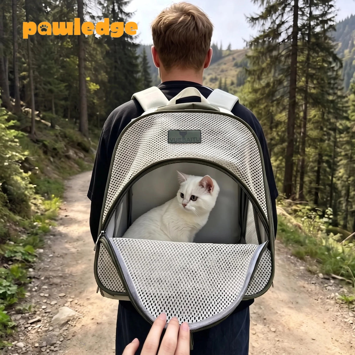 Pet Carrier Backpack, Breathable Lightweight Travel Bag with Large Front Opening and Luggage Strap for Cats and Small Dogs