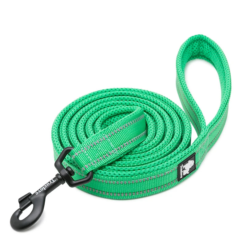 Winhyepet Luxury Padded Handle Reflective Nylon Dog Leash
