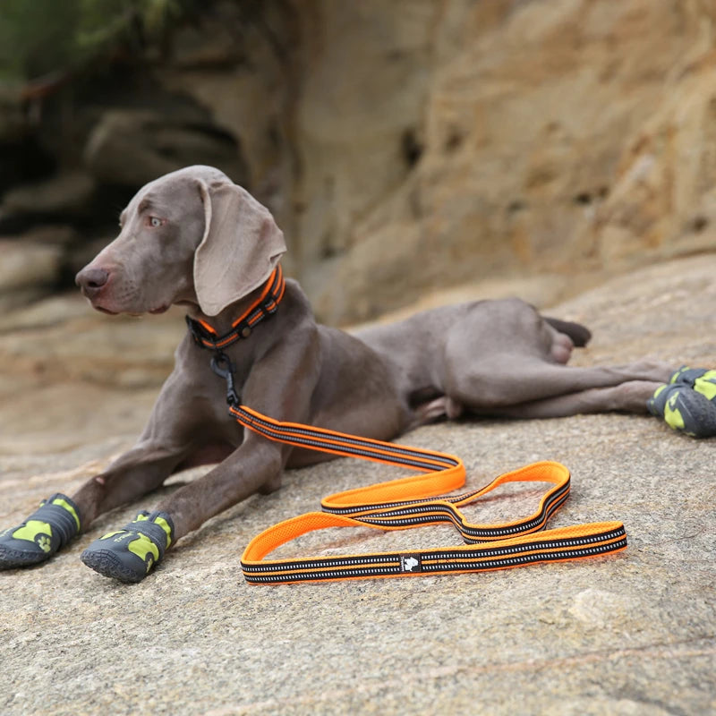 Winhyepet Luxury Padded Handle Reflective Nylon Dog Leash