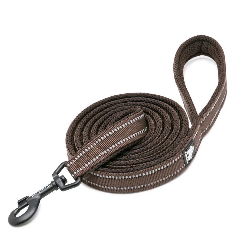Winhyepet Luxury Padded Handle Reflective Nylon Dog Leash