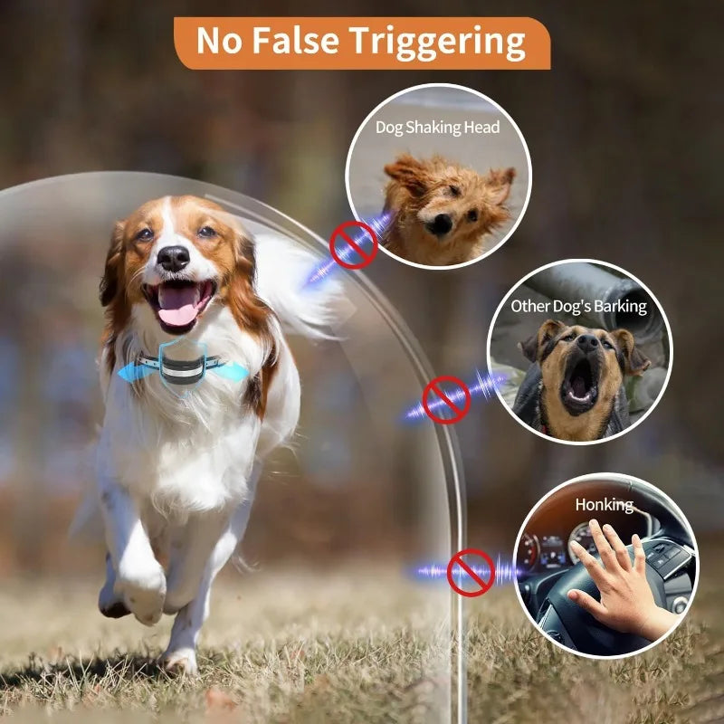 PaiPaitek Automatic Anti Barking Dog Collar with Waterproof Bark Control