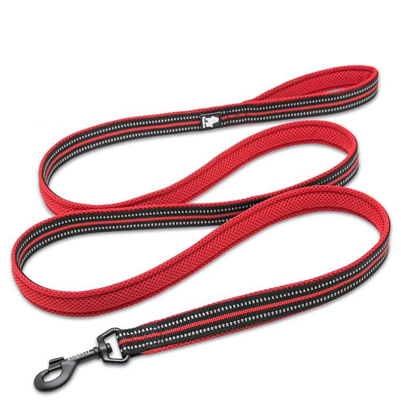 Winhyepet Luxury Padded Handle Reflective Nylon Dog Leash