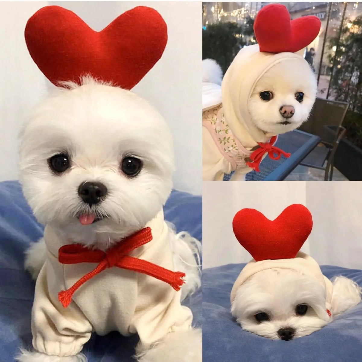 Cute Fruit Frog Pet Hoodie Costume for Dogs and Cats