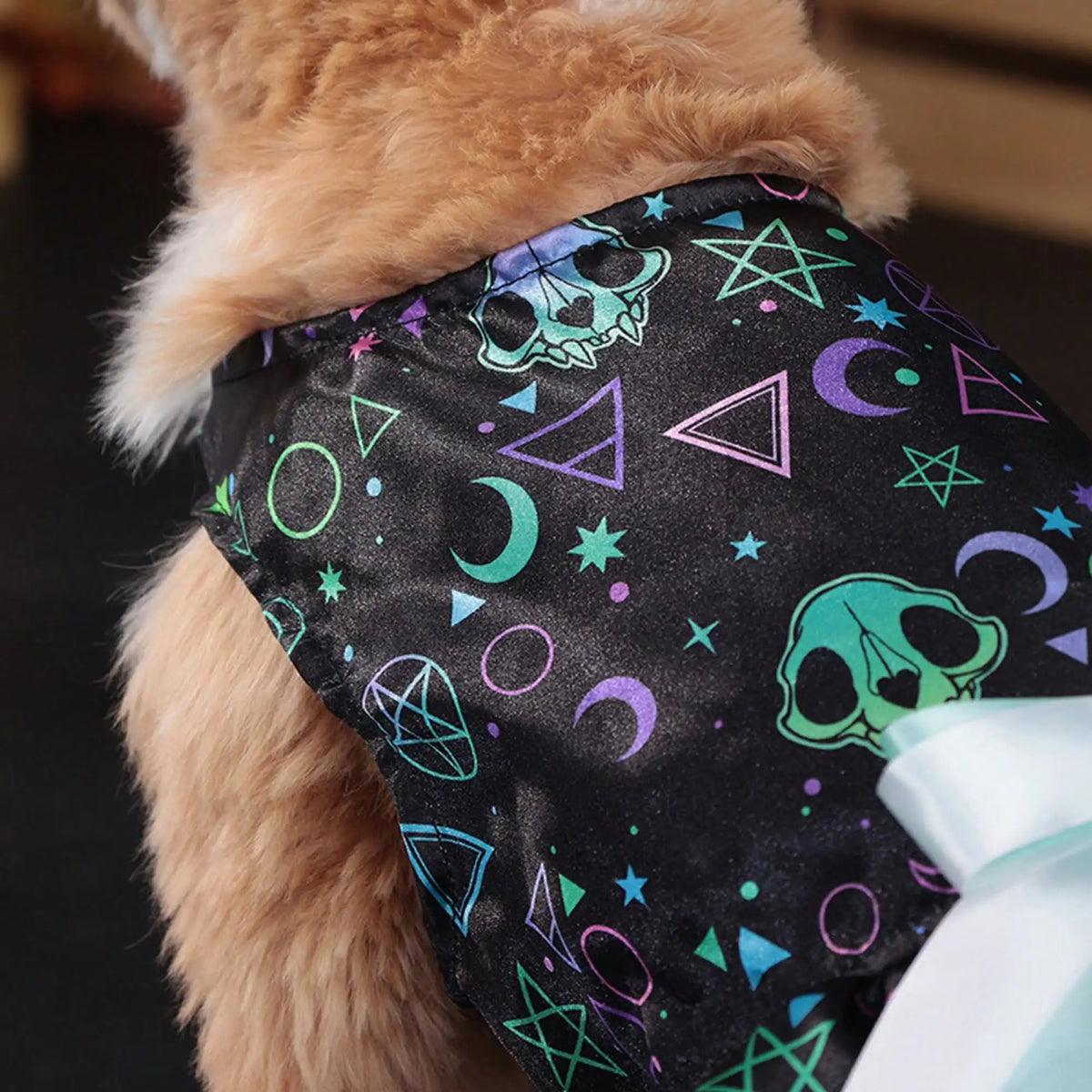 Halloween Pet Dog Dress With Pumpkin Skull Print Bowknot