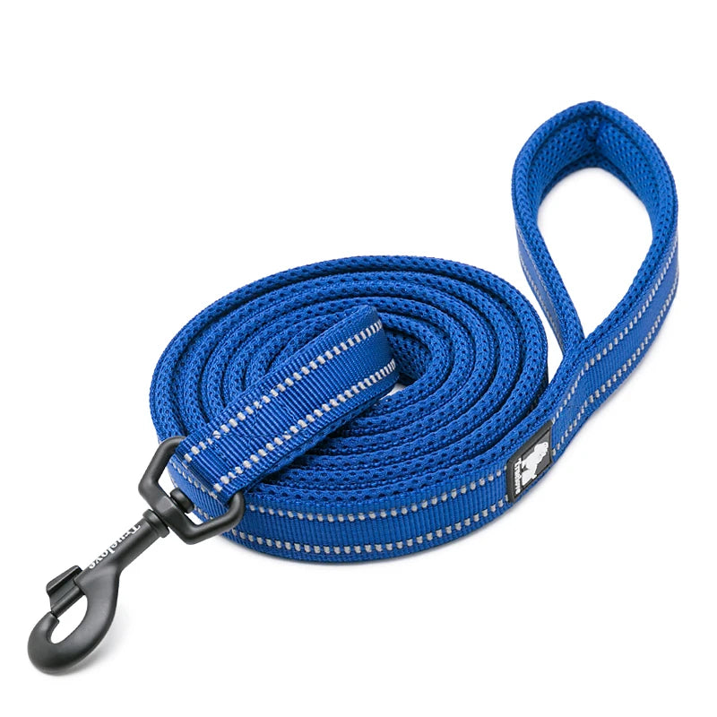 Winhyepet Luxury Padded Handle Reflective Nylon Dog Leash