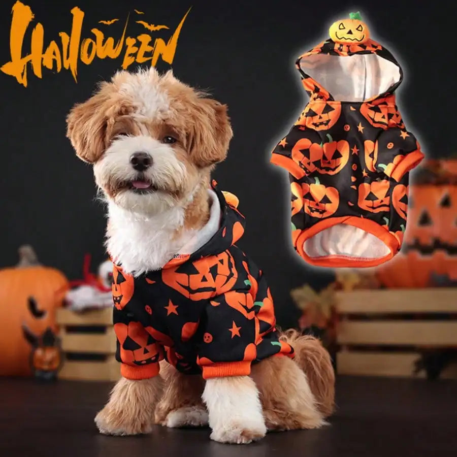 Adjustable Halloween Spider Costume for Dogs Funny Cosplay Party Outfit