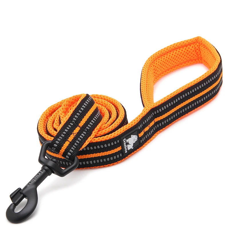 Winhyepet Luxury Padded Handle Reflective Nylon Dog Leash