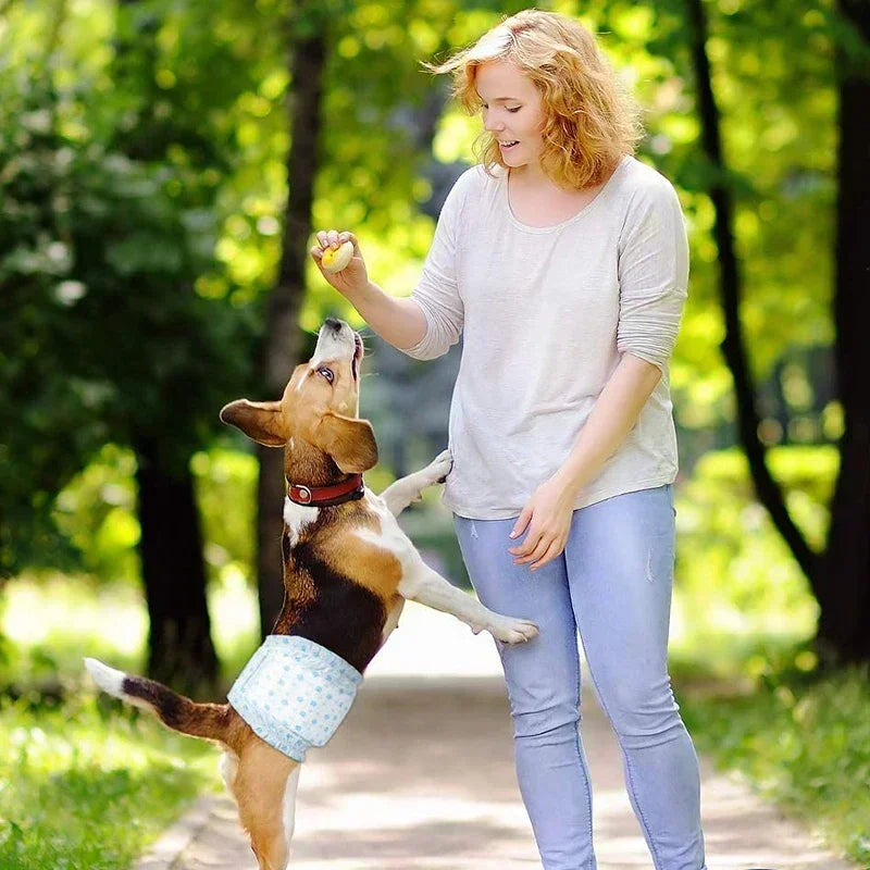 Super Absorbent Disposable Pet Diapers Leakproof Dog And Cat Nappies