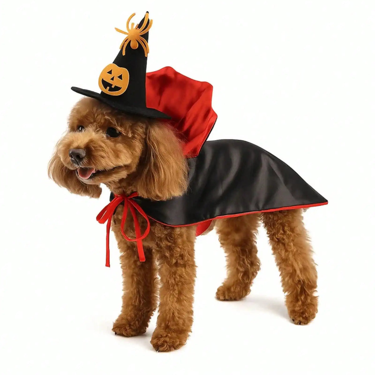 Stand Collar Halloween Pet Costume Cape for Dogs and Cats