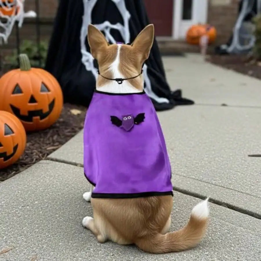 Vampire Halloween Cape Costume Bat Mask For Cats And Dogs