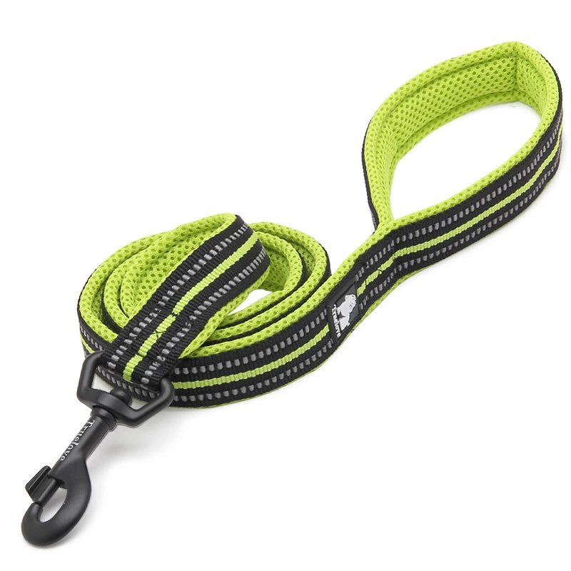 Winhyepet Luxury Padded Handle Reflective Nylon Dog Leash