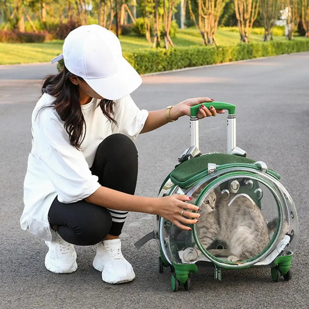Portable Pet Trolley Carrier With Clear Ventilation And Silent Wheels