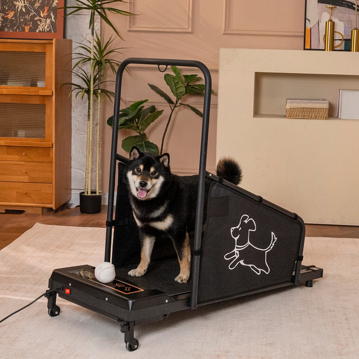 Indoor Dog And Cat Treadmill For Running And Exercise