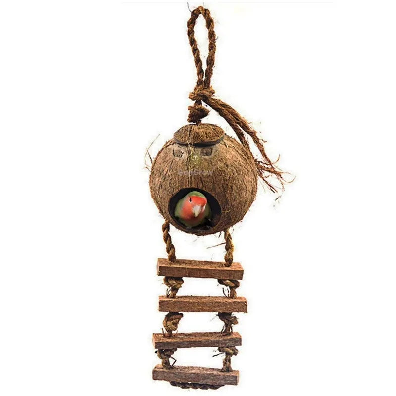 Coconut Shell Hanging Bird House With Ladder And Treat Holder
