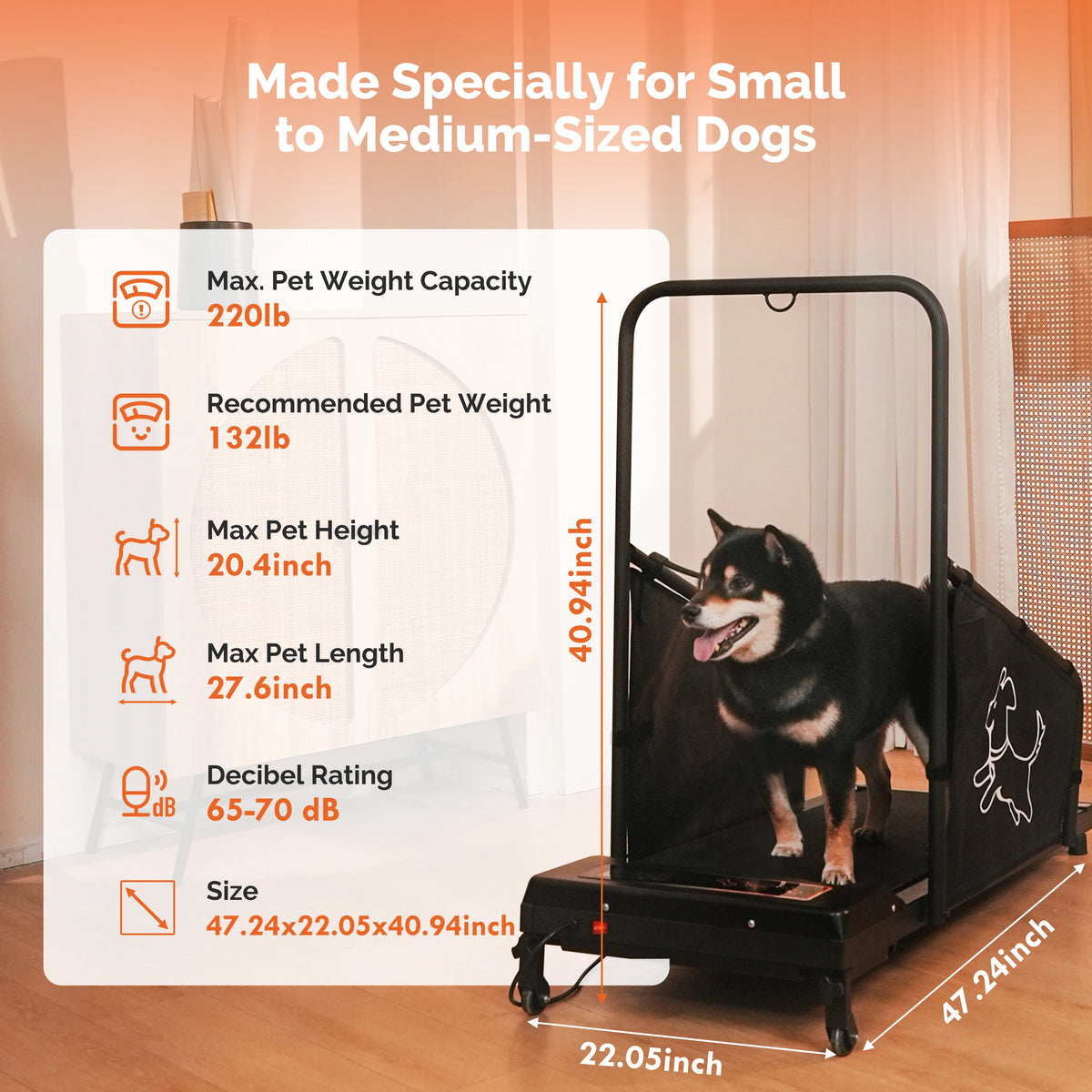 Indoor Dog And Cat Treadmill For Running And Exercise