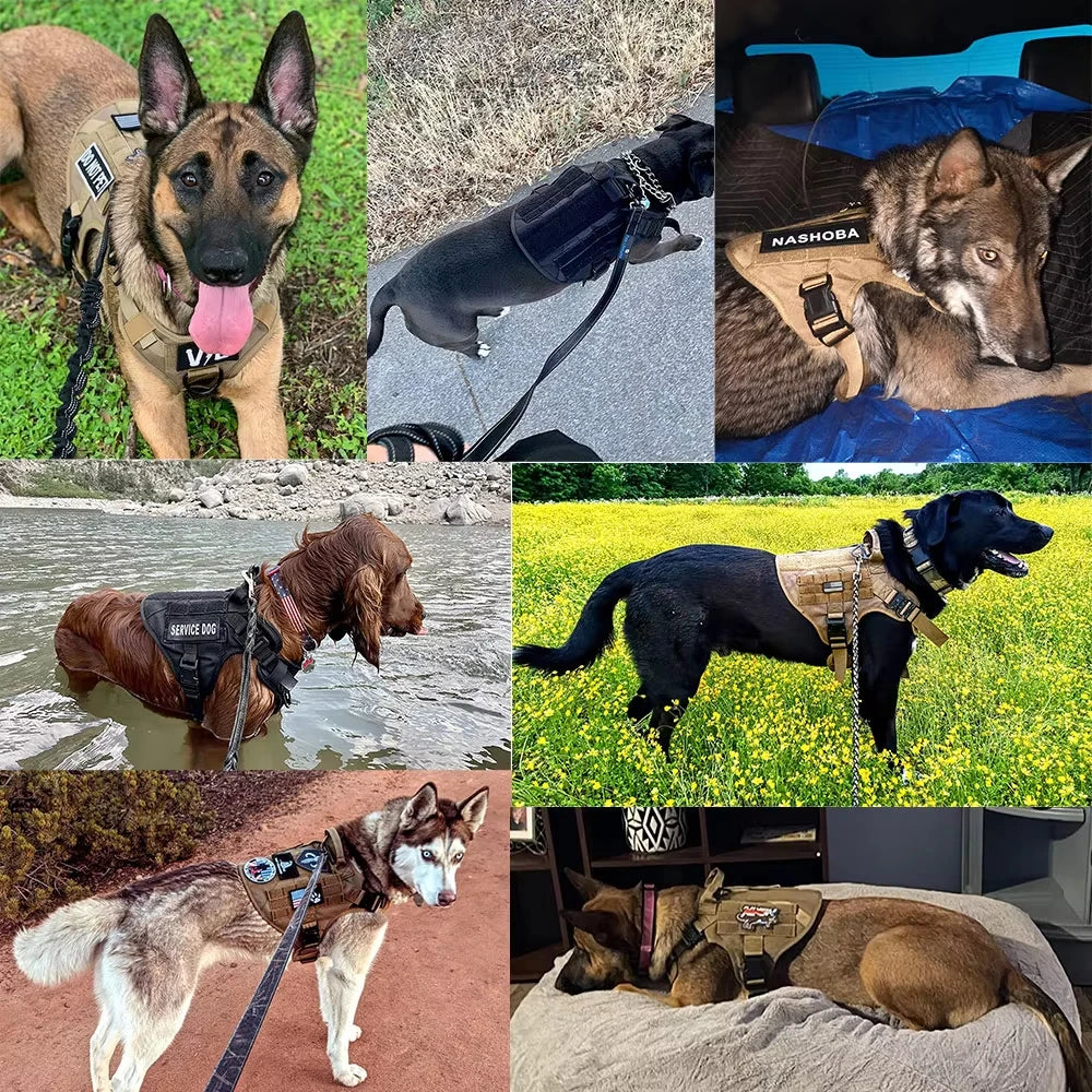 Tactical Dog Harness Collar Leash Set With Quick Release Buckle