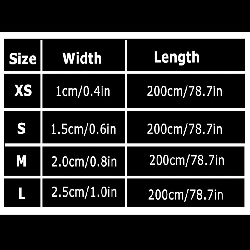 Winhyepet Luxury Padded Handle Reflective Nylon Dog Leash