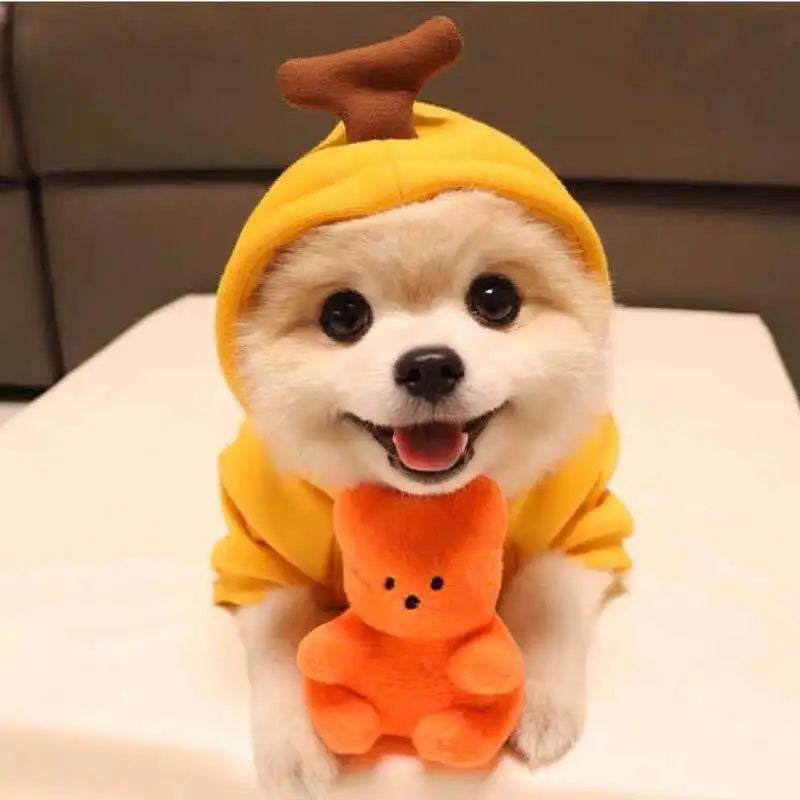 Cute Fruit Frog Pet Hoodie Costume for Dogs and Cats