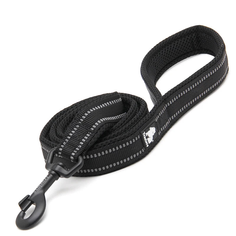Winhyepet Luxury Padded Handle Reflective Nylon Dog Leash