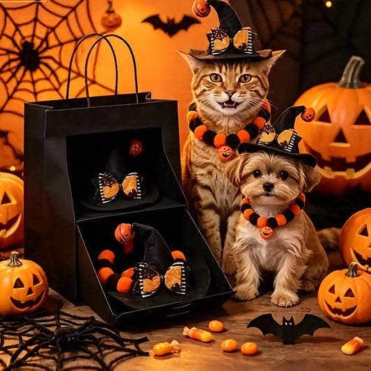 Halloween Pet Costume Set With Pumpkin Hat And Bat Collar