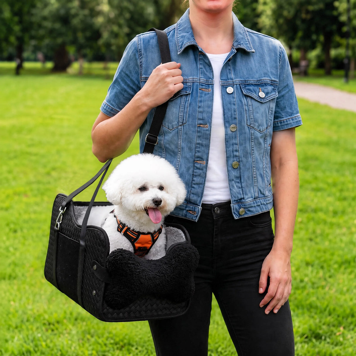 Pet Car Booster Seat For Small Dogs With Safety Leash
